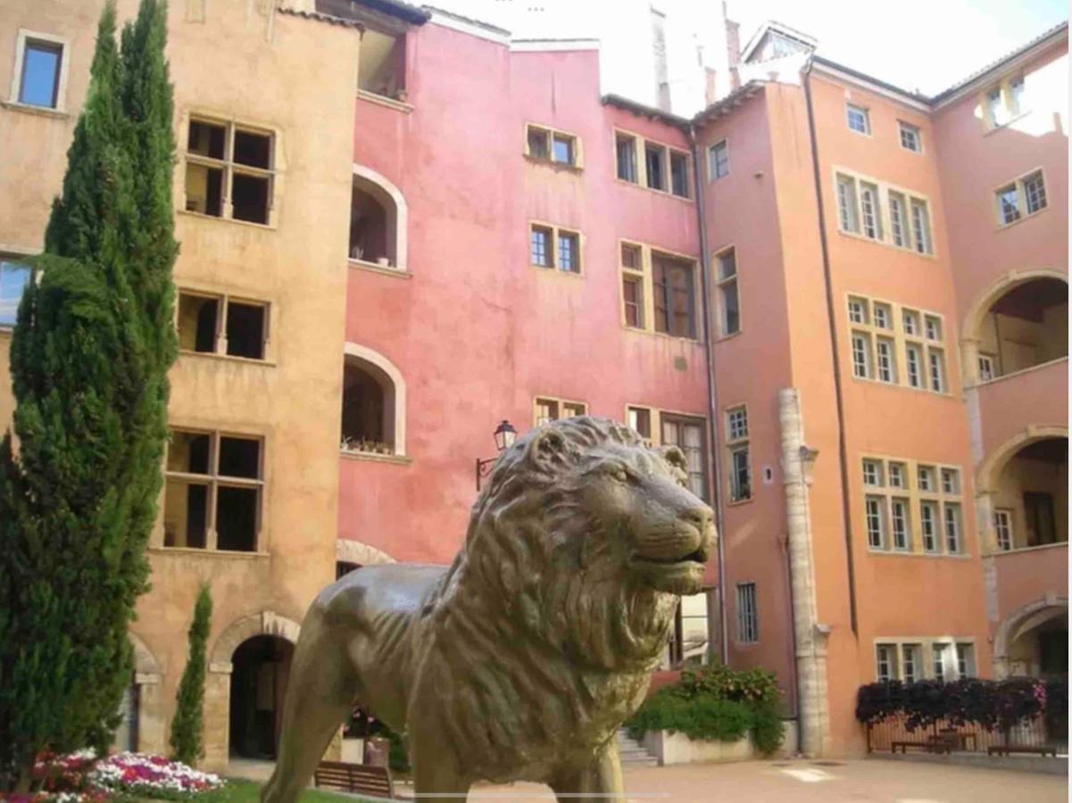 Beau Duplex Avec Jardin Et Vue Apartment Lyon Exterior photo